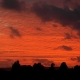 Ac floccus4 (sunset)