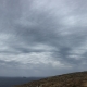 Ac undulatus36 OtherView