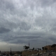 Ac undulatus38 OtherView