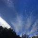 Cc undulatus7 WideView