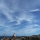 Ci fibratus10 OtherView