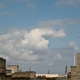 Other Cu pileus2