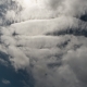 Sc undulatus5 OtherView
