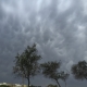 Ac mammatus11 Start