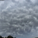 Ac mammatus11 Widespread
