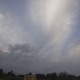 Ci radiatus8 OtherView