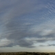 Cc undulatus8 Otherview2 Panorama