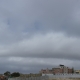 Sc radiatus6 OtherView